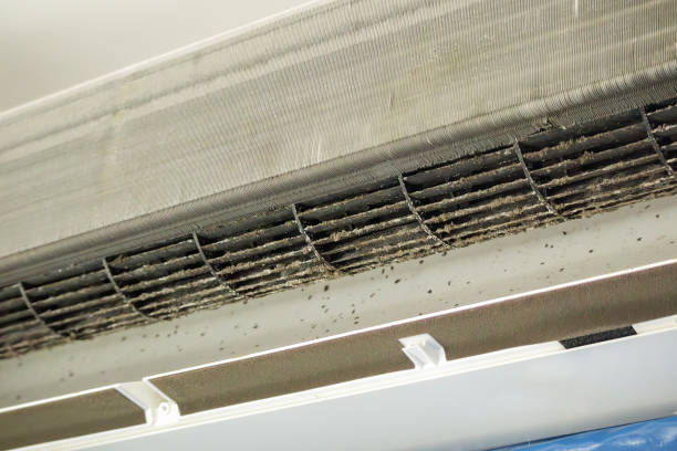 Best Air Vent Cleaning Services  in Pacheco, CA